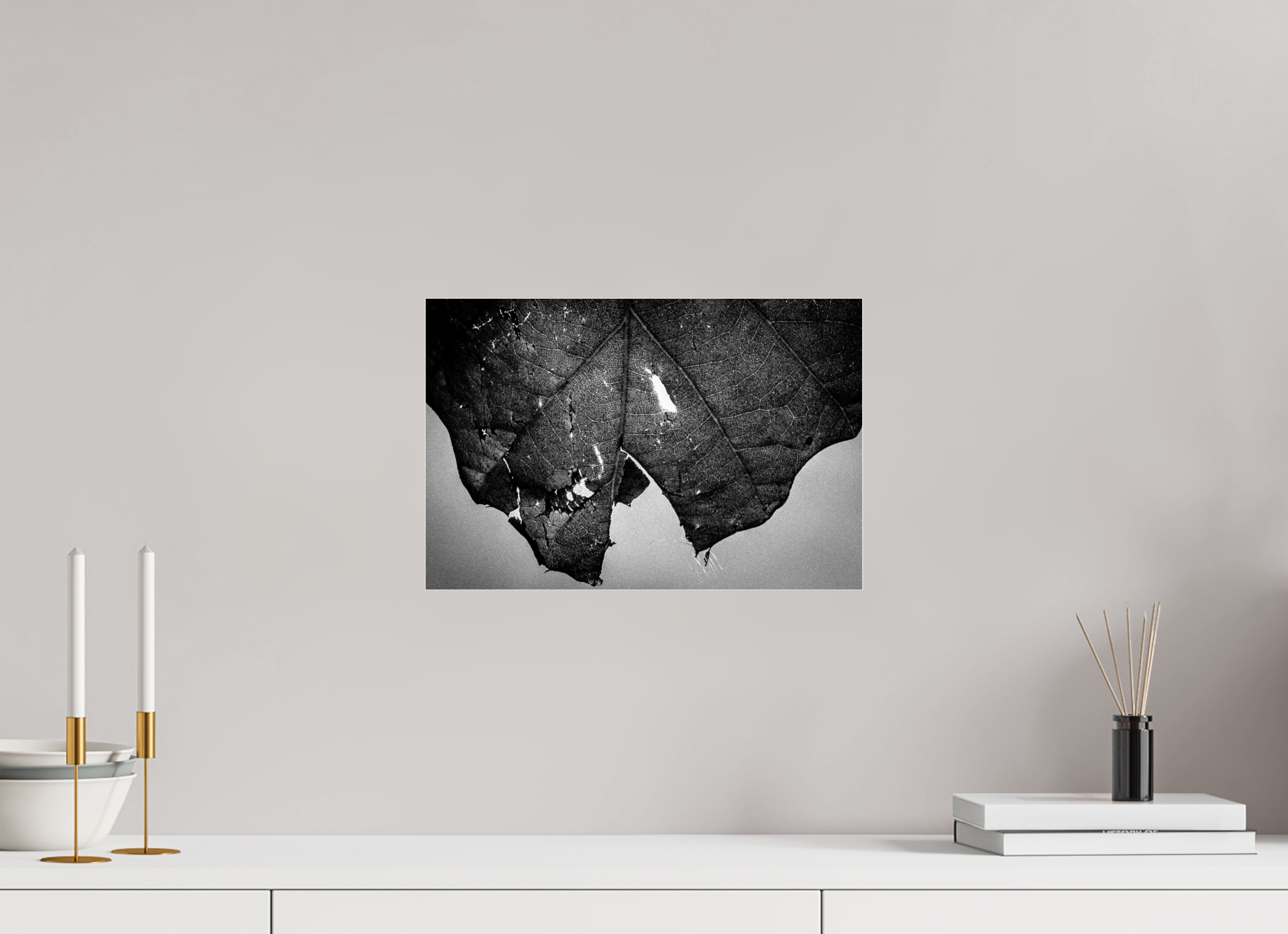 15 x 10″, Photo Print Under Acrylic Glass Leaf on acrylic glass