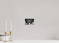 6 x 4″, Photo Print Under Acrylic Glass Leaf on acrylic glass