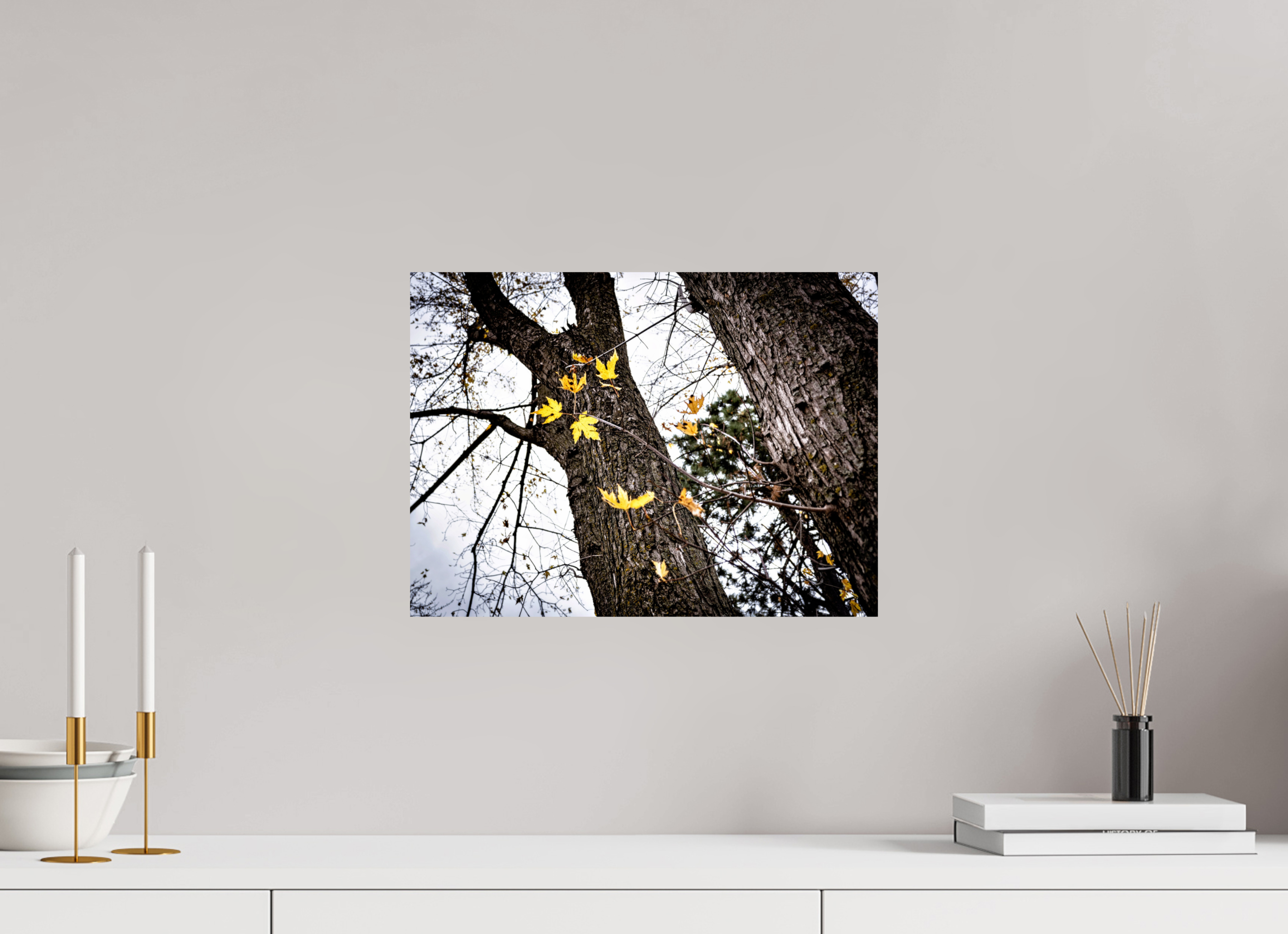 16.3 x 12″, Hahnemuhle FineArt Pearl Paper The Last of Fall on Hahnemuhle FineArt Pearl Paper