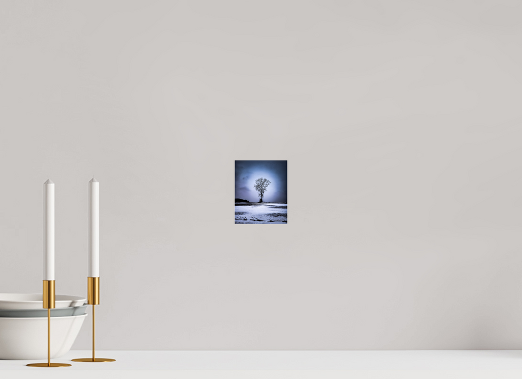 4 x 4.8″, Photo Print Under Acrylic Glass Minnesota Winter Tree on Acrylic Glass