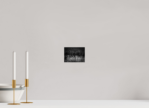 5.5 x 4″, Photo Print Under Acrylic Glass Corn and Grass