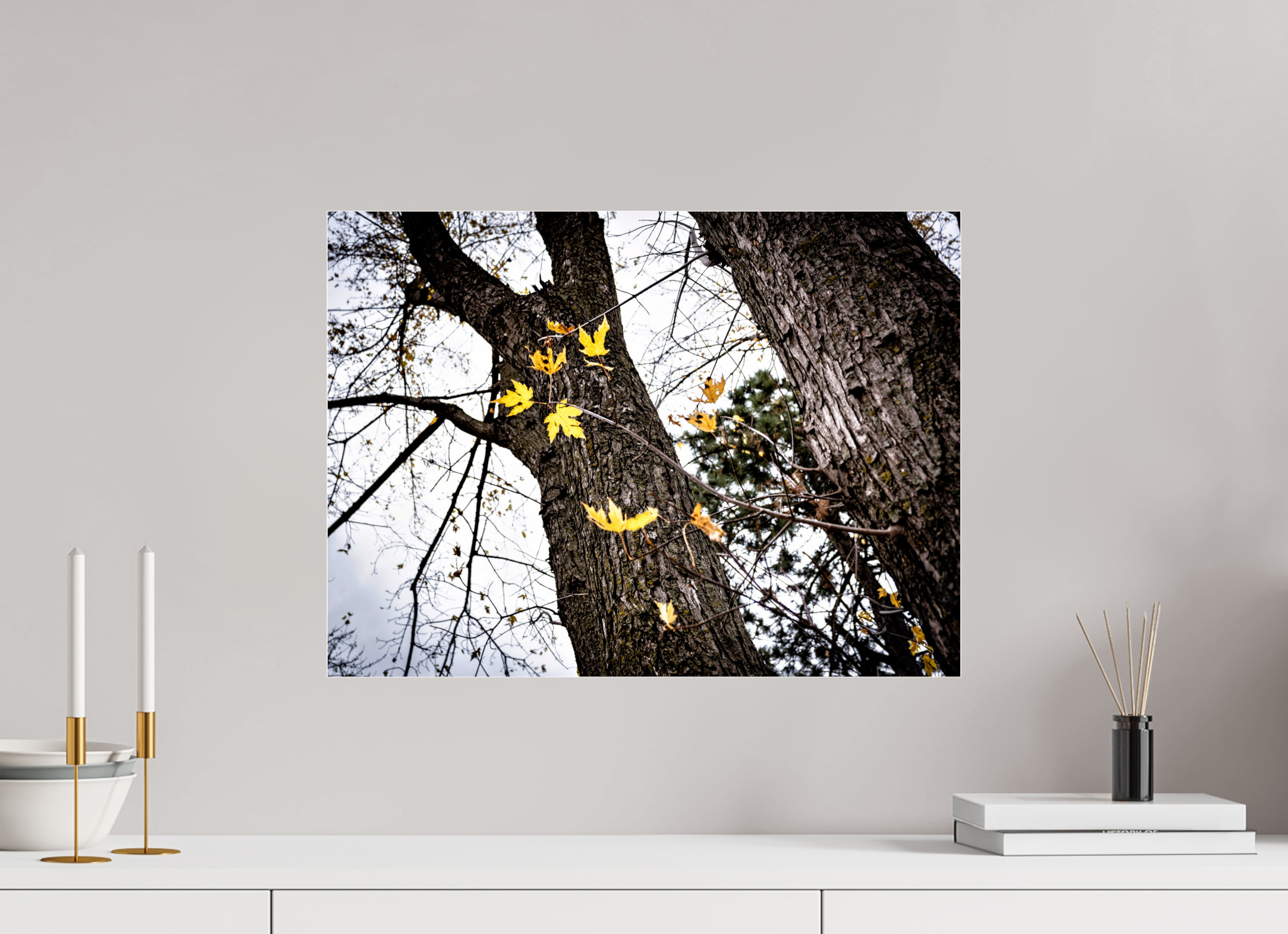 21.7 x 16″, Photo Print Under Acrylic Glass The Last of Fall on Acrylic Glass