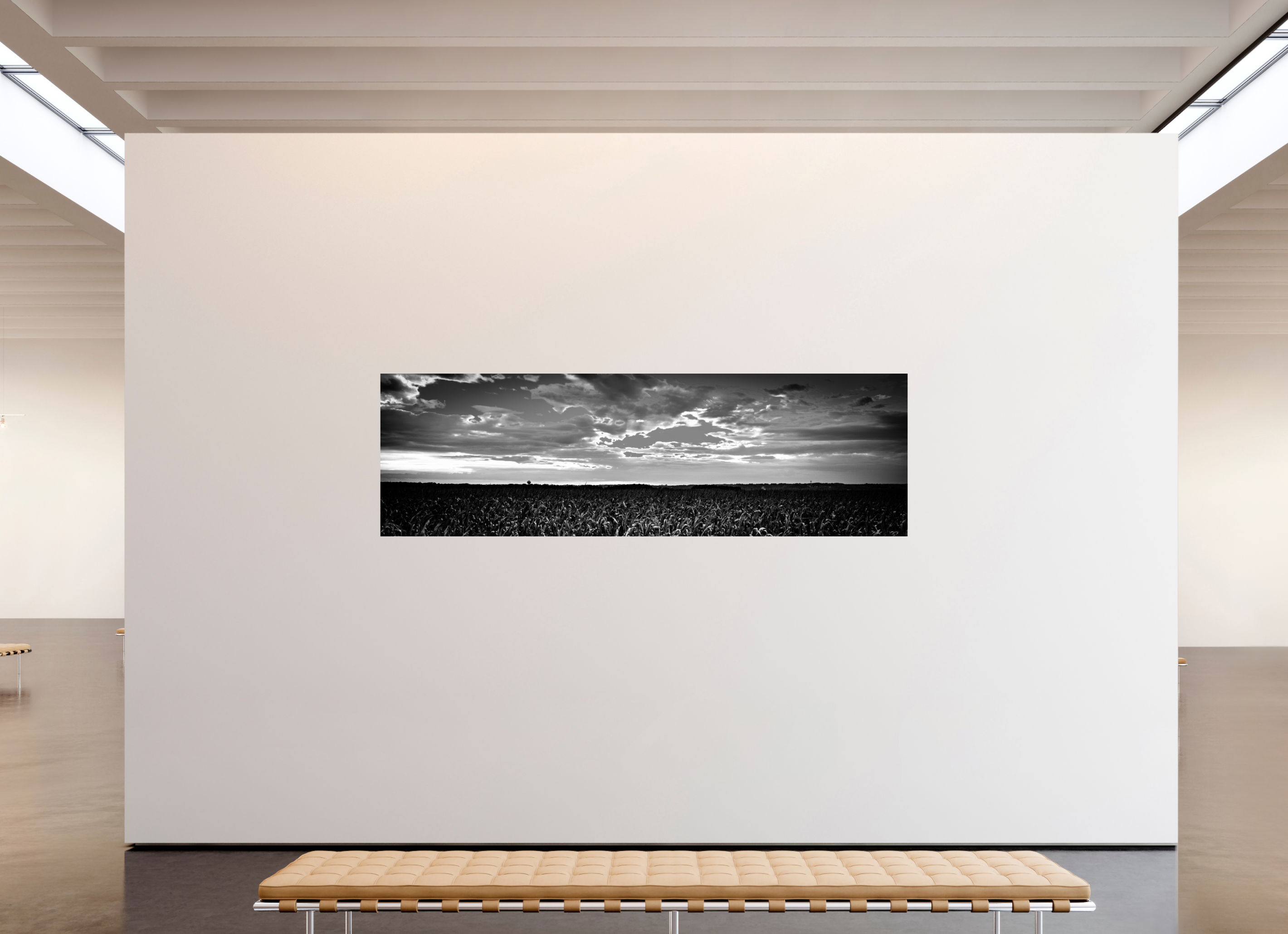 103.6 x 32″, Hahnemuhle FineArt Pearl Paper Cornfield Sunset on Hahnemuhle FineArt Pearl Paper