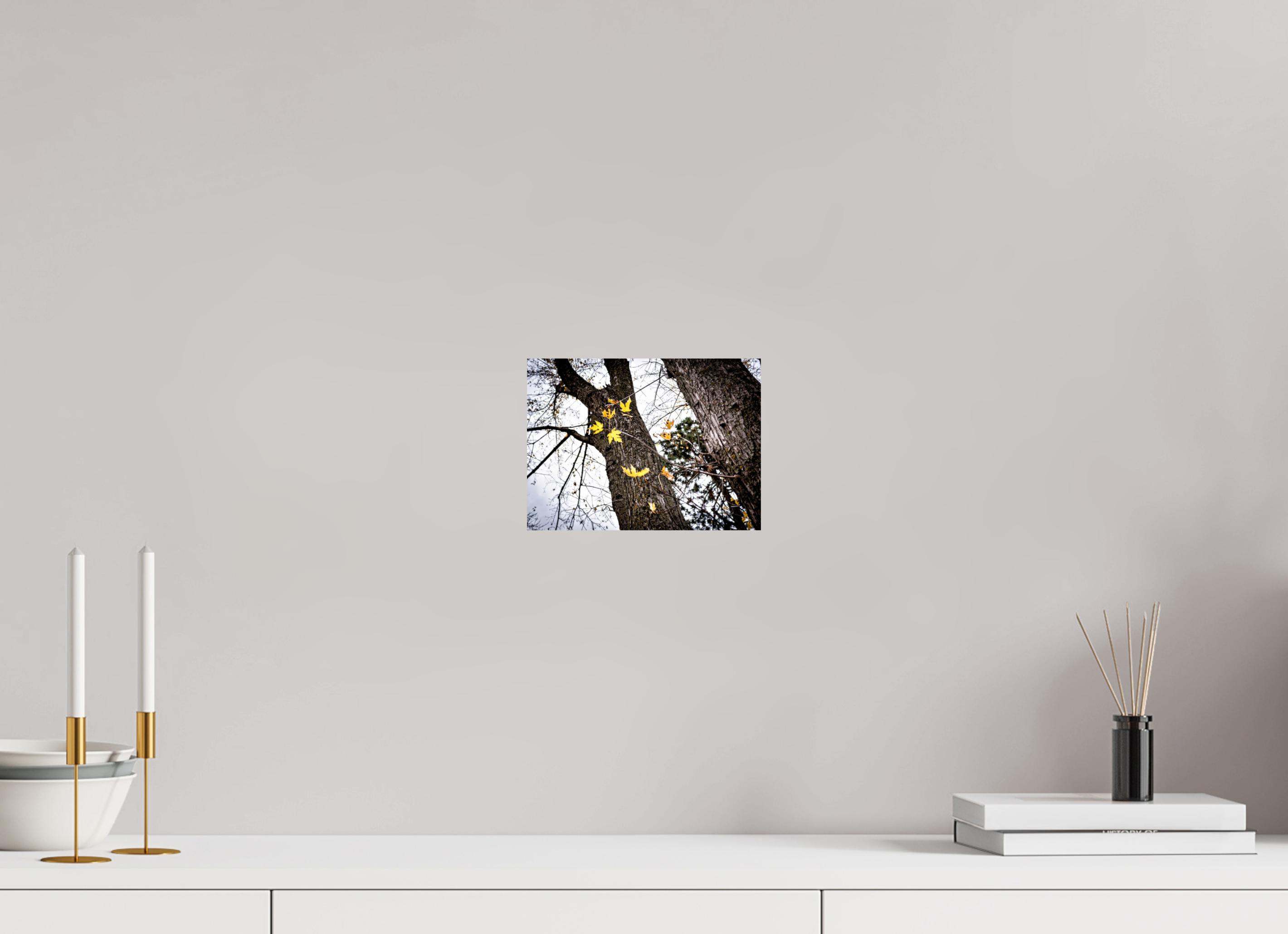 8.1 x 6″, Hahnemuhle FineArt Pearl Paper The Last of Fall on Hahnemuhle FineArt Pearl Paper