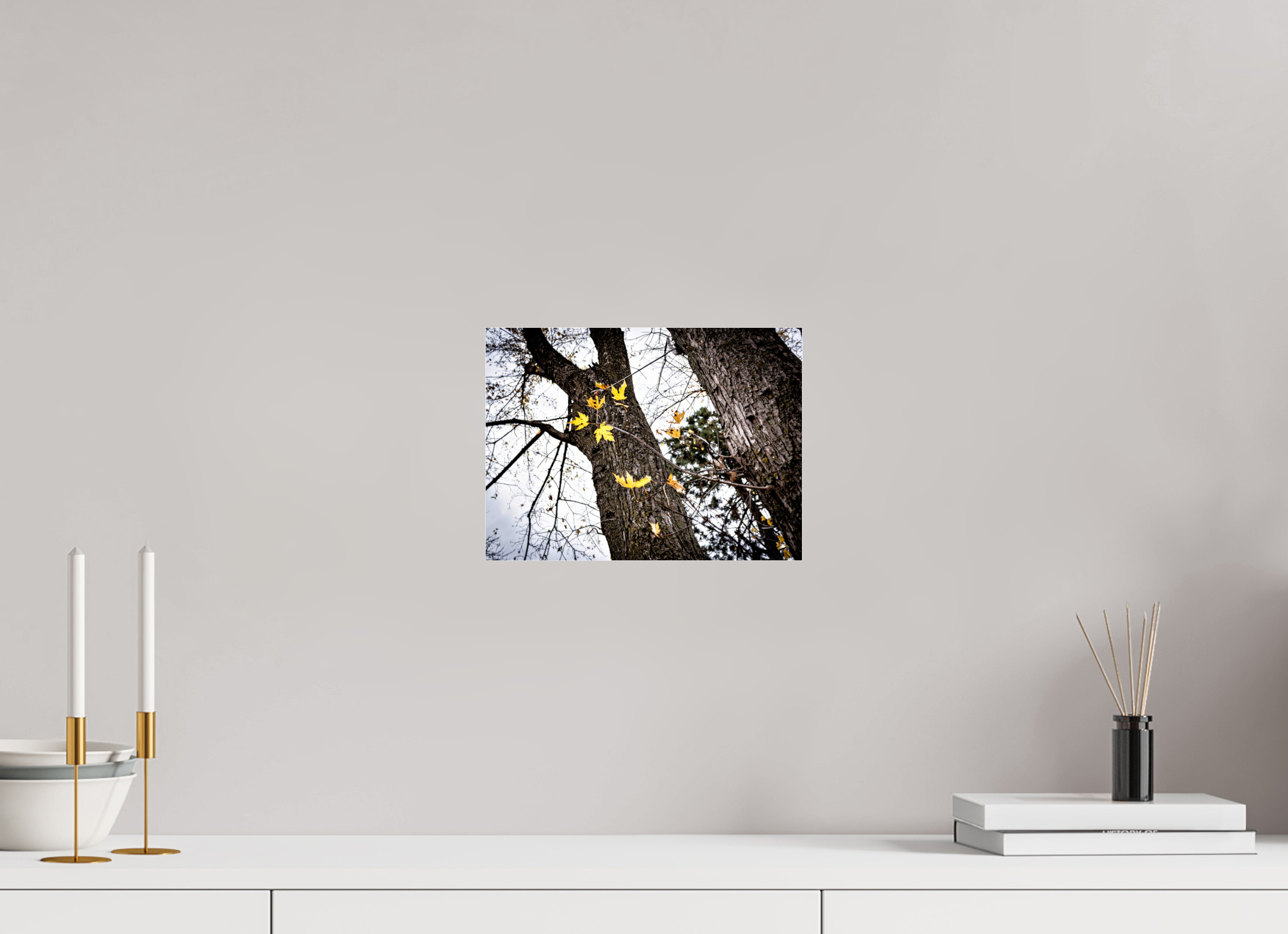 10.9 x 8″, Photo Print Under Acrylic Glass The Last of Fall on Acrylic Glass