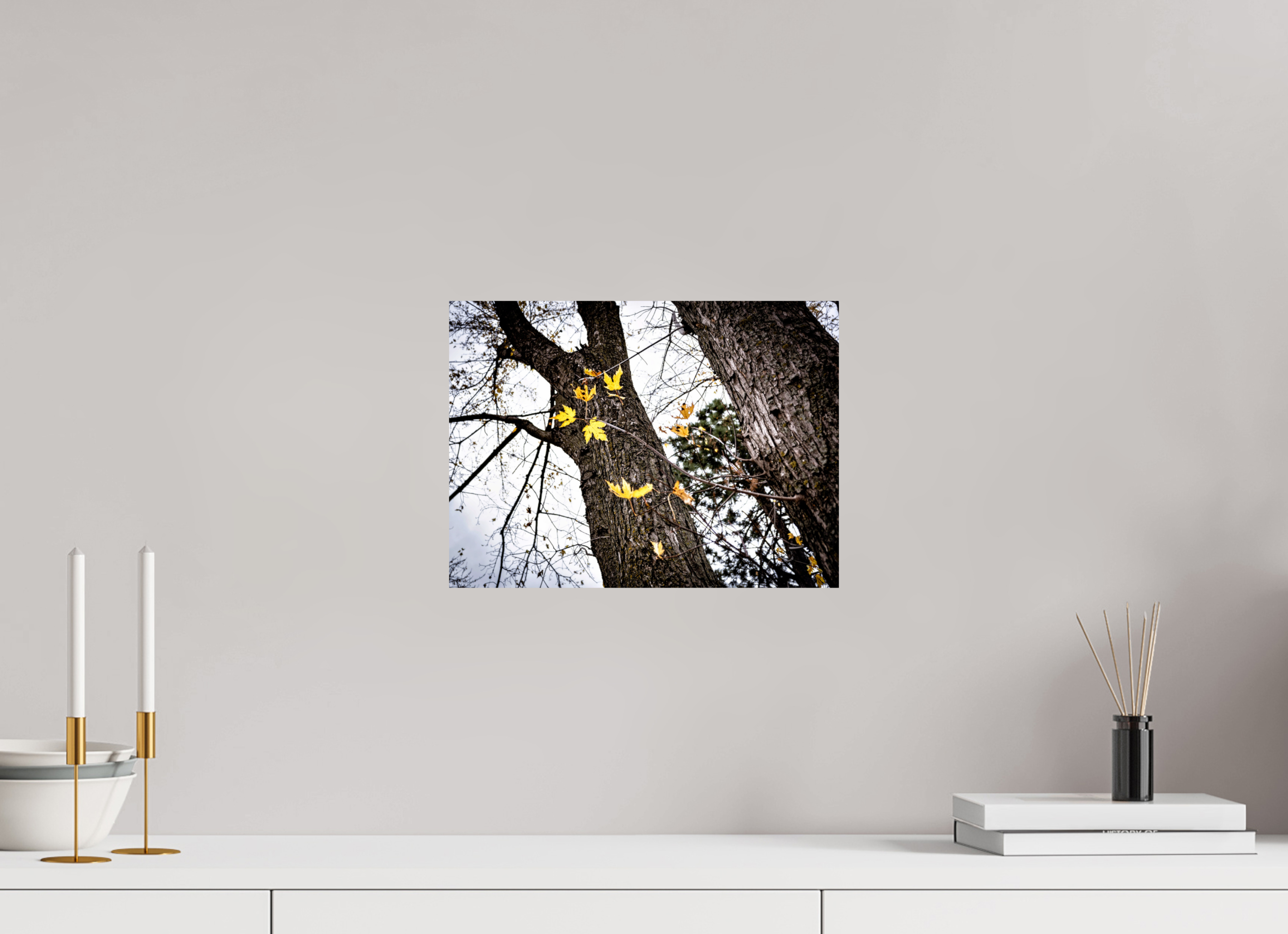13.6 x 10″, Hahnemuhle FineArt Pearl Paper The Last of Fall on Hahnemuhle FineArt Pearl Paper