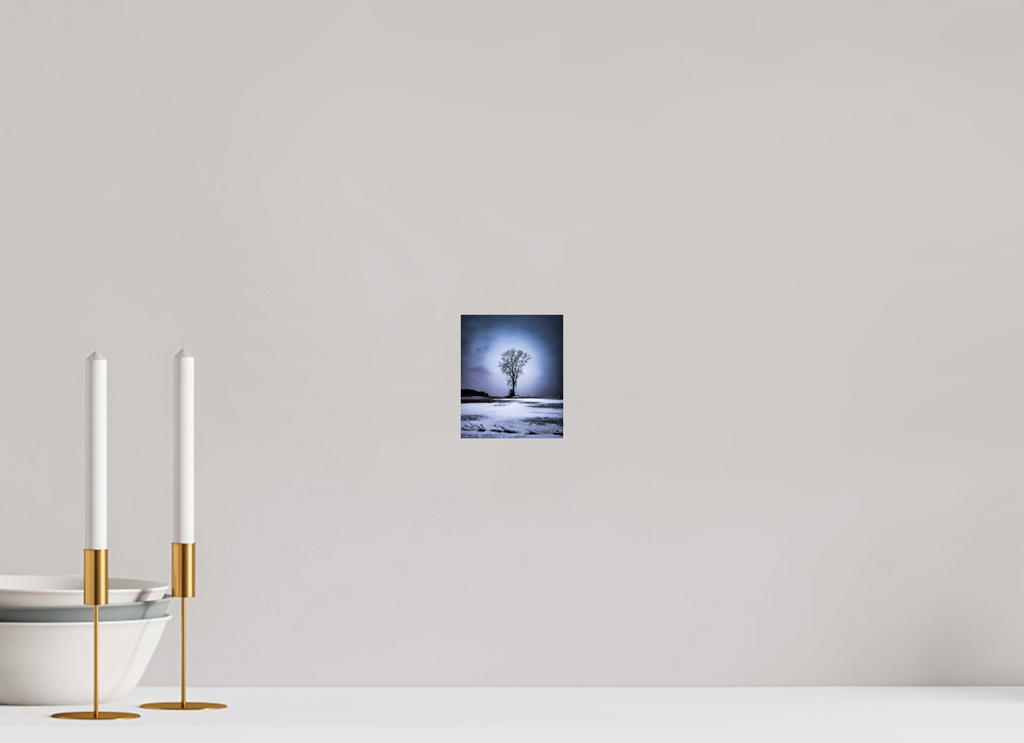 4 x 4.8″, Hahnemuhle FineArt Pearl Paper Minnesota Tree on Hahnemuhle FineArt Pearl Paper