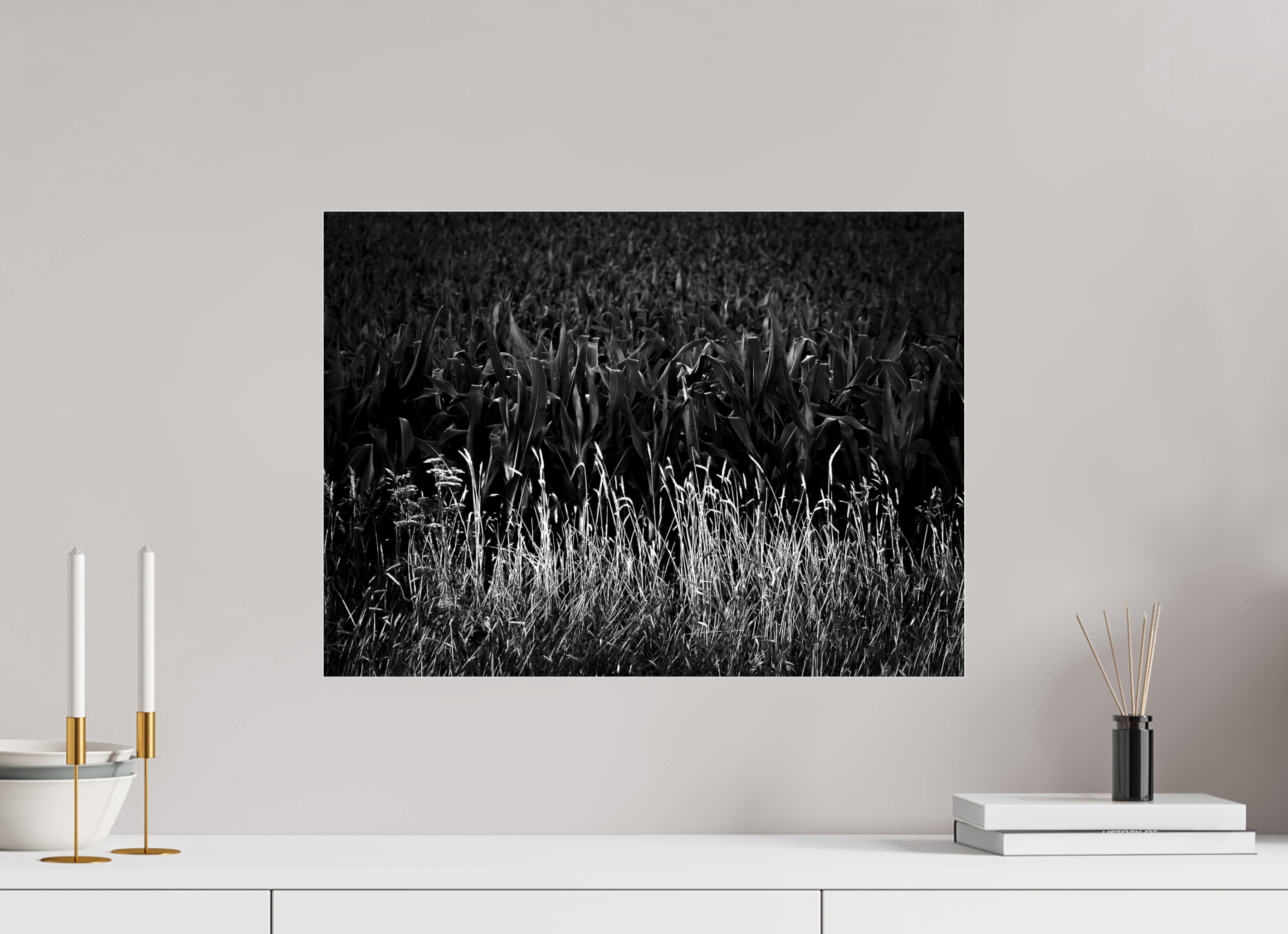 22 x 16″, Photo Print Under Acrylic Glass Corn and Grass