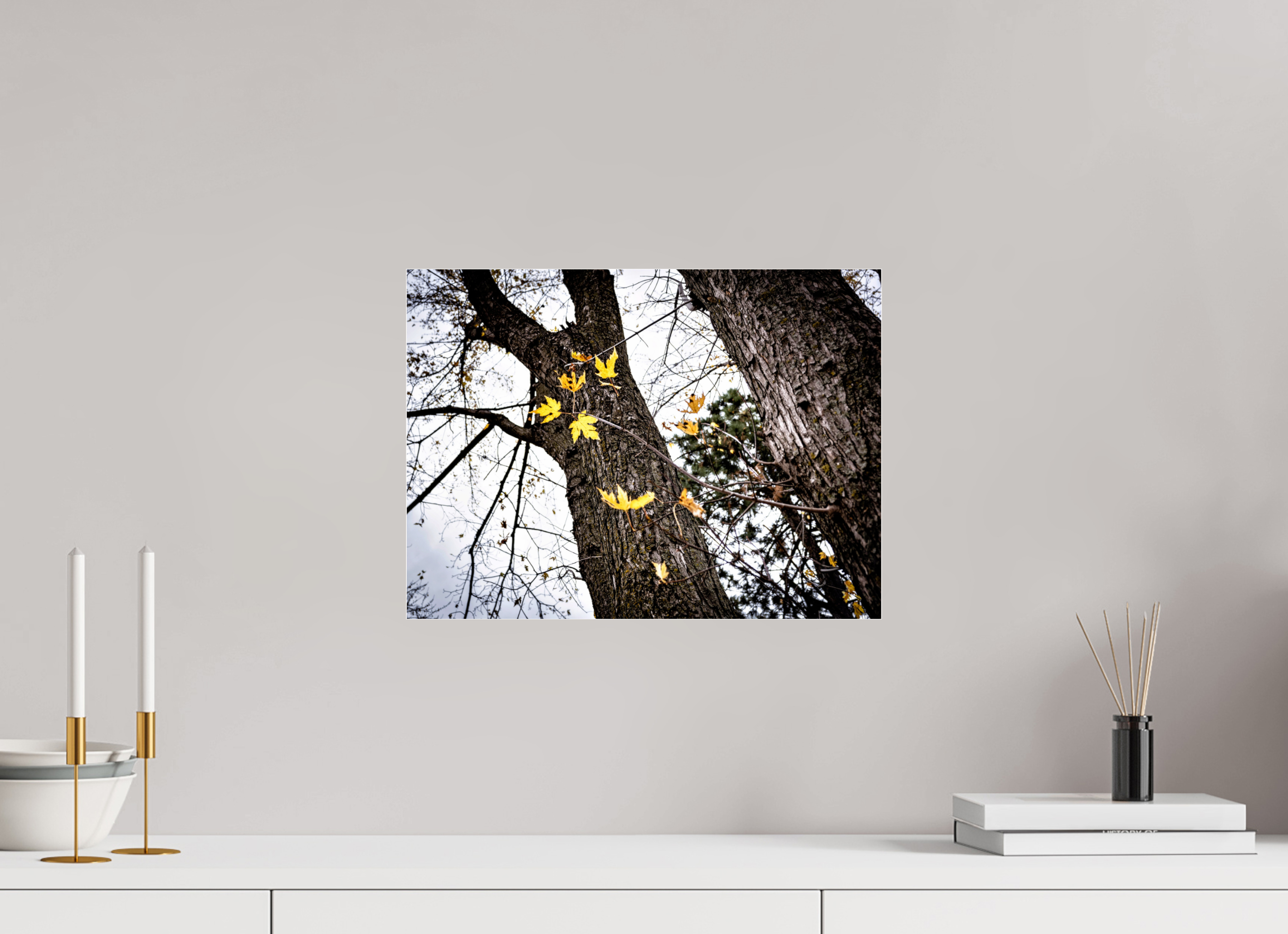 16.3 x 12″, Photo Print Under Acrylic Glass The Last of Fall on Acrylic Glass