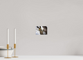 5.4 x 4″, Photo Print Under Acrylic Glass The Last of Fall on Acrylic Glass