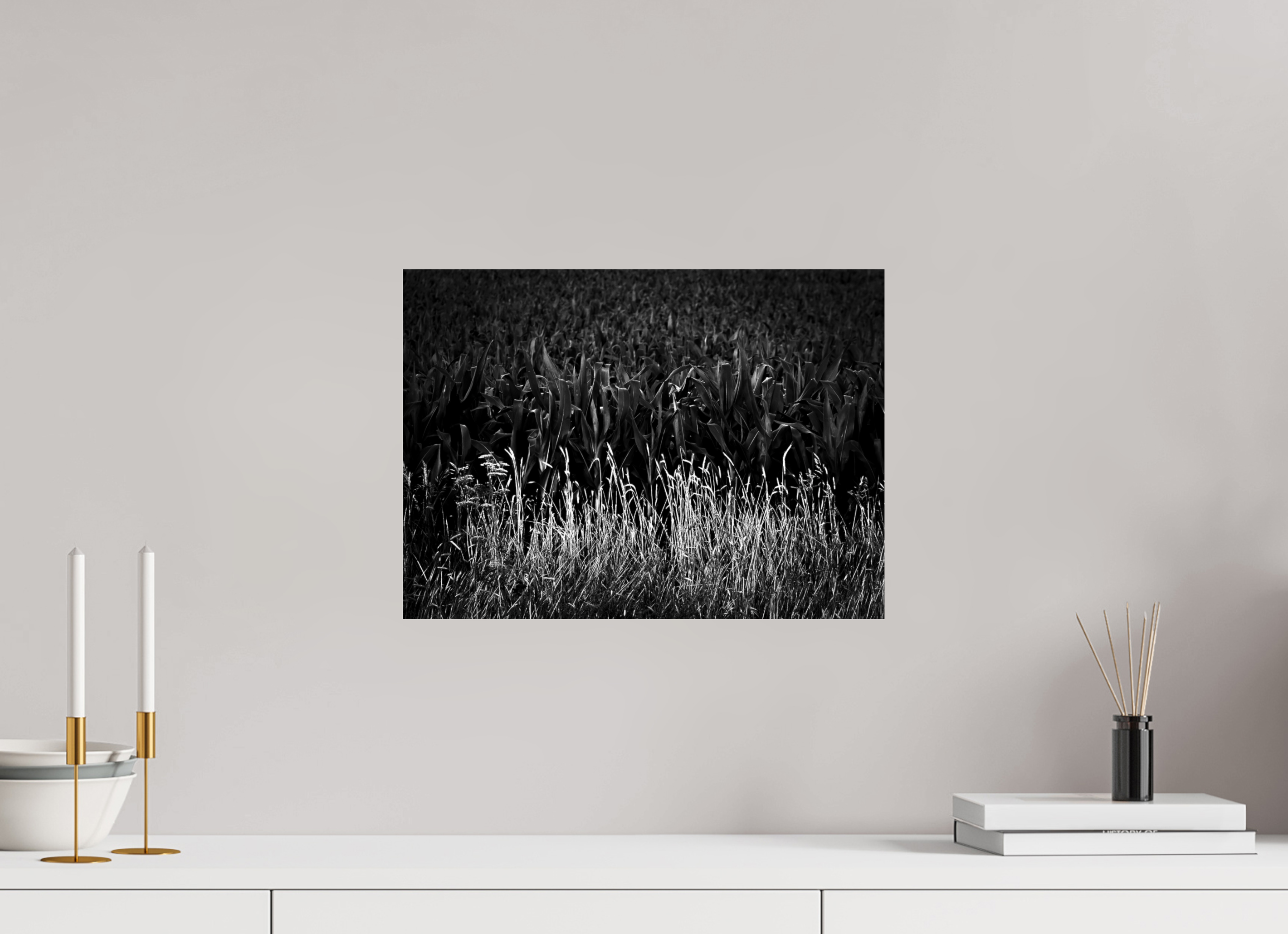 16.5 x 12″, Photo Print Under Acrylic Glass Corn and Grass
