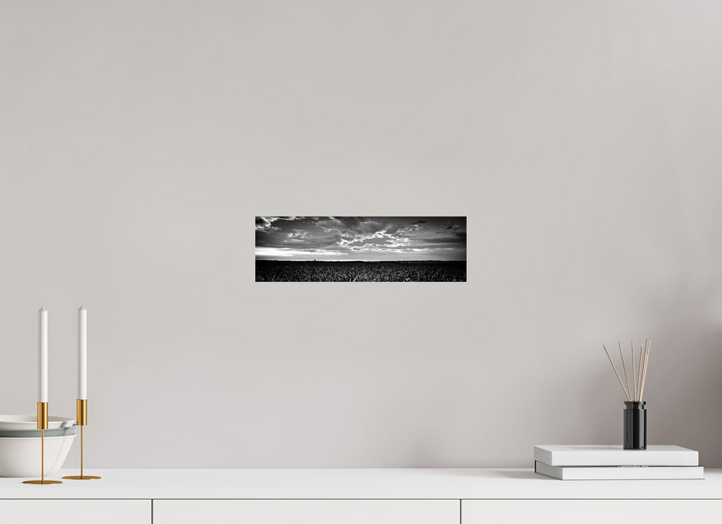 13 x 4″, Photo Print Under Acrylic Glass Cornfield Sunset on acrylic glass