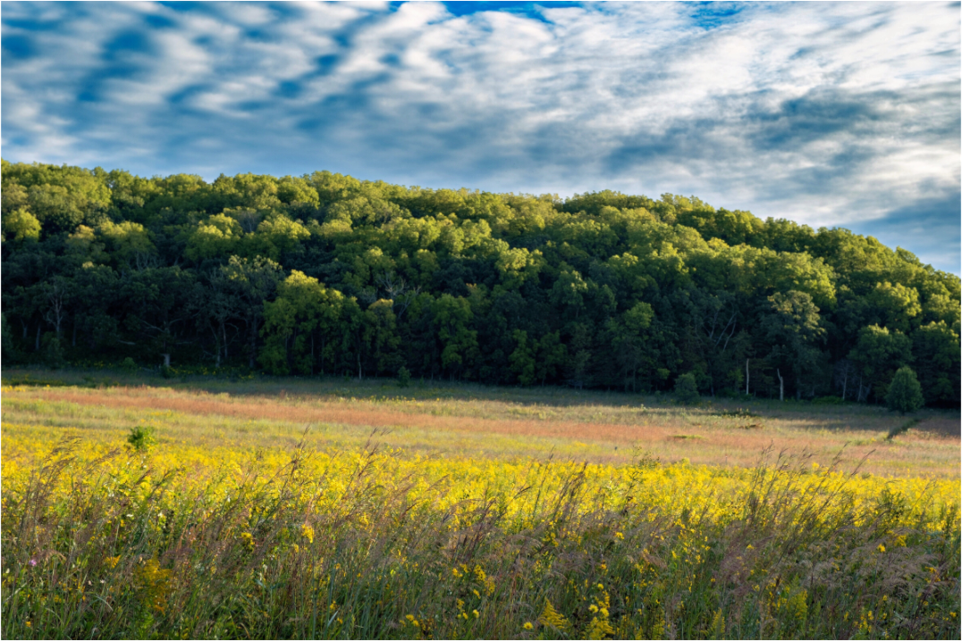 Main image Decorah, IA on acrylic glass