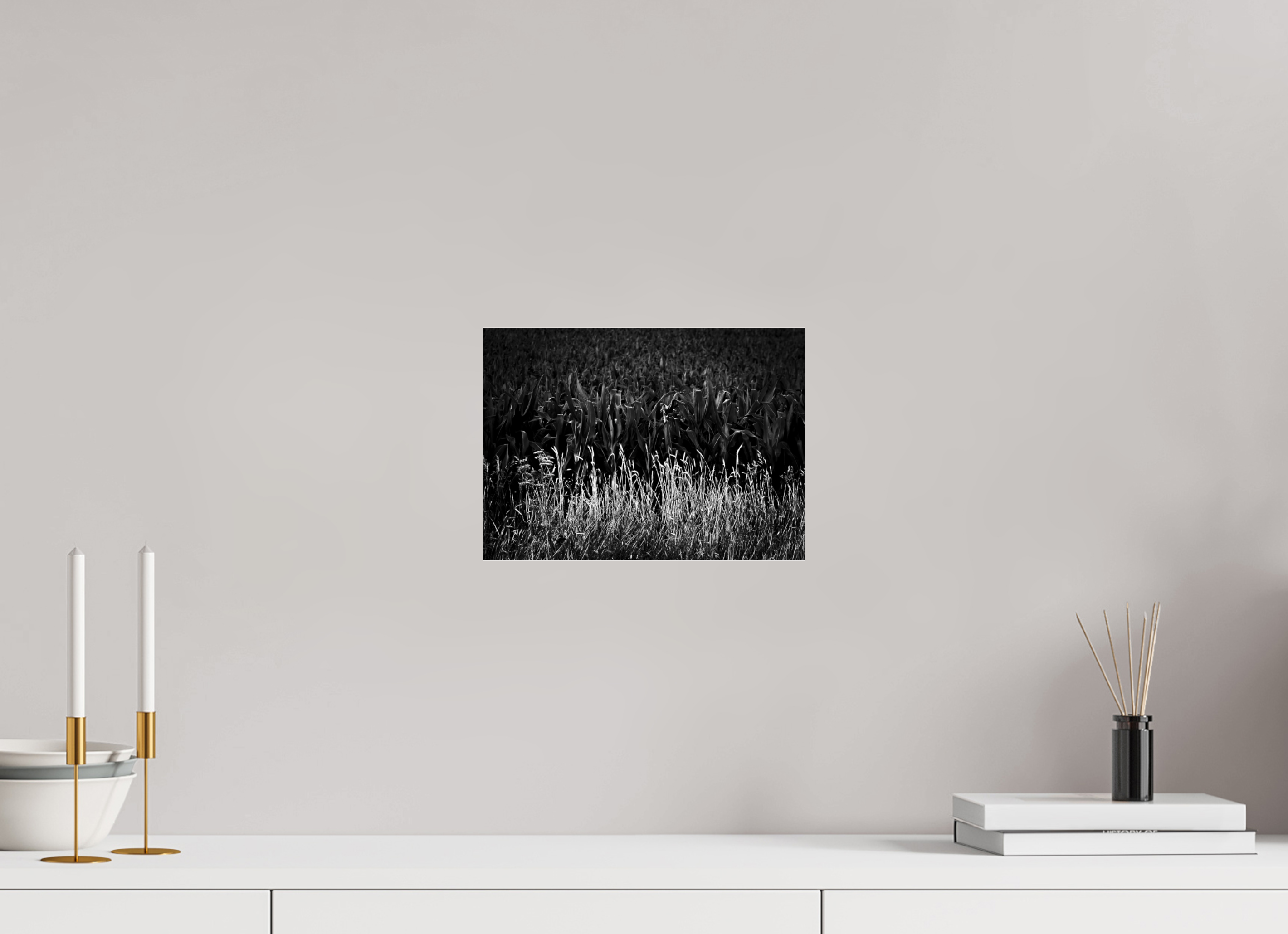 11 x 8″, Photo Print Under Acrylic Glass Corn and Grass