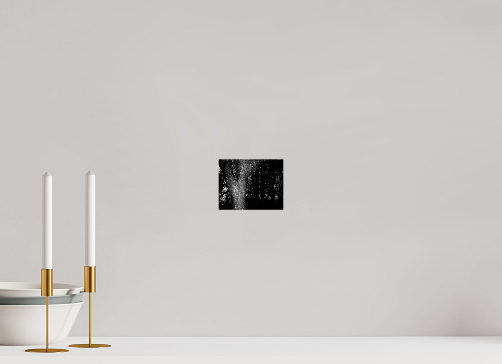 5.2 x 4″, Hahnemuhle FineArt Pearl Paper Twilight Tree on Hahnemuhle FineArt Pearl Paper