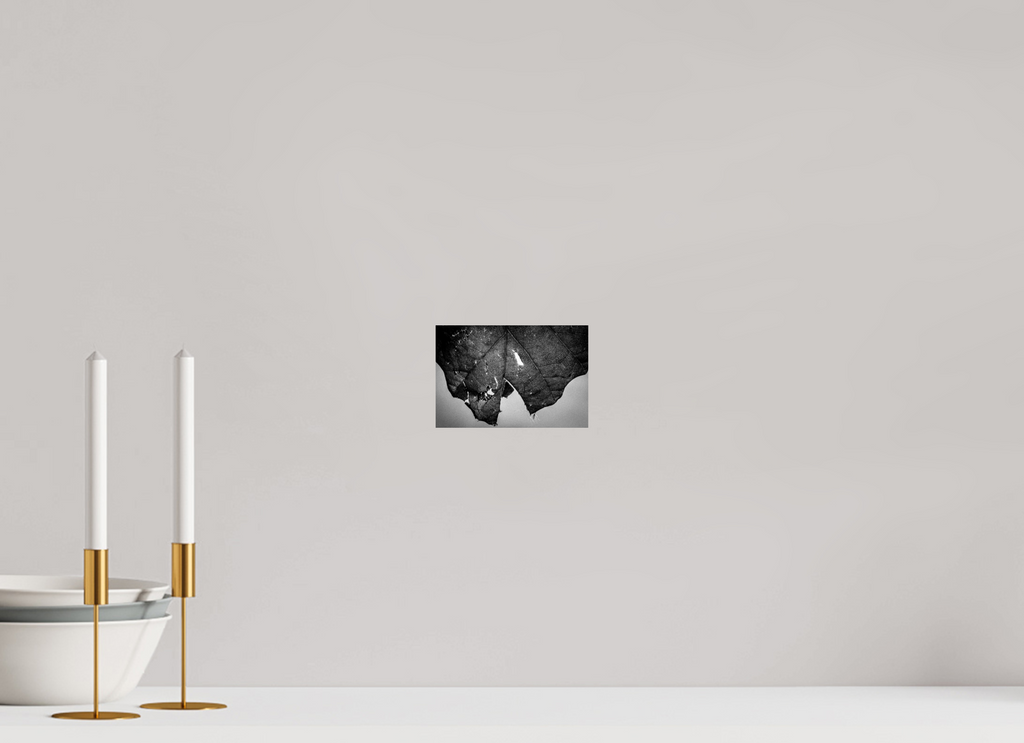 6 x 4″, Hahnemuhle FineArt Pearl Paper Leaf on Hahnemuhle FineArt Pearl Paper