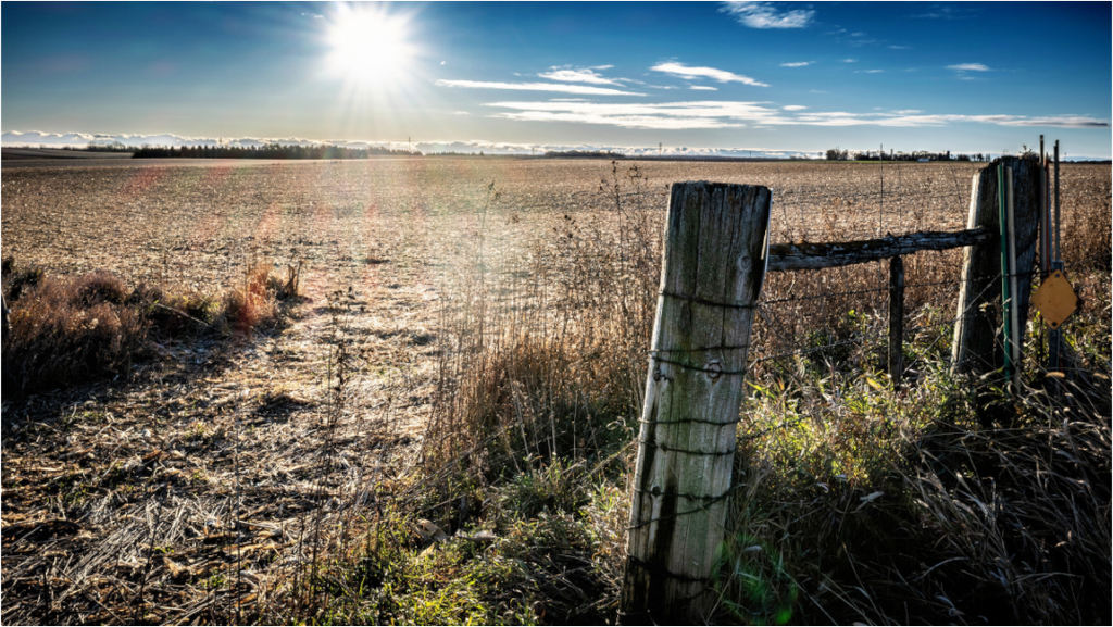 Main image After the Harvest on acrylic glass