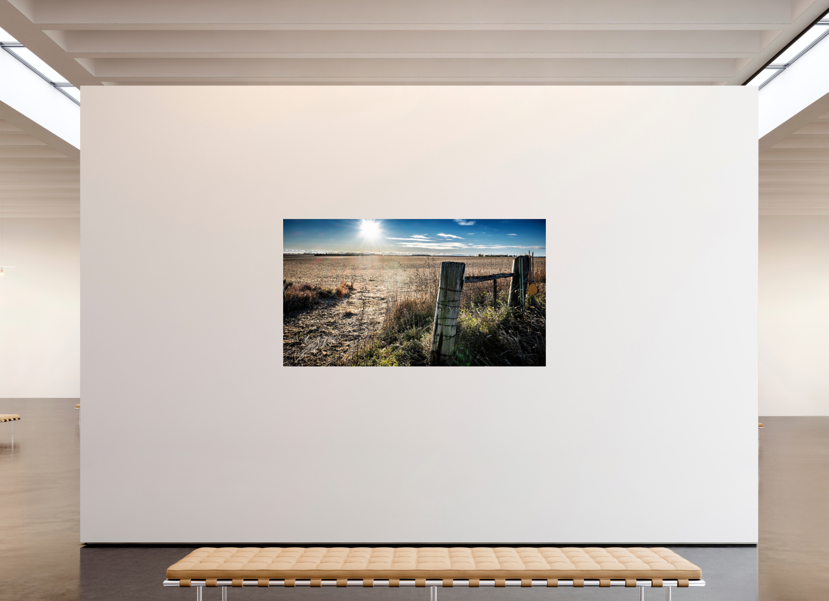80 x 45″, Photo Print Under Acrylic Glass After the Harvest on acrylic glass