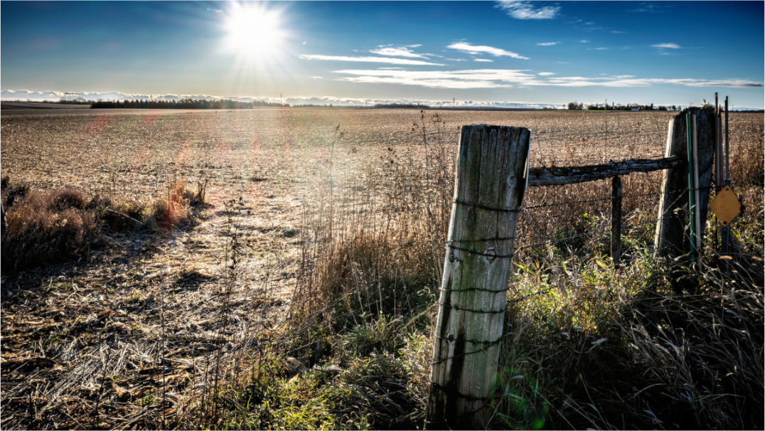 Main image After the Harvest on Hahnemuhle FineArt Pearl Paper